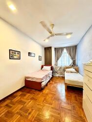 Holland Grove Road (D10), Terrace #566397161